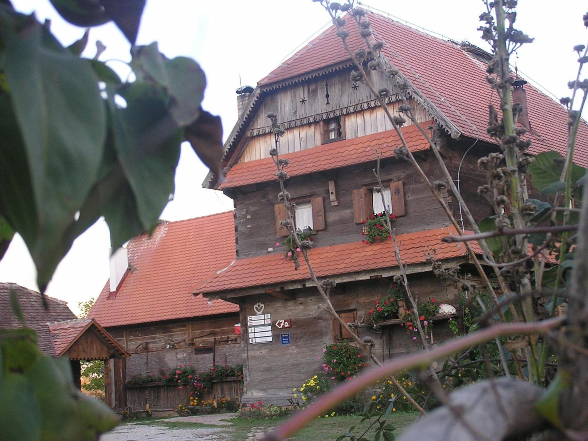 Tradicije Cigoc Otel Dış mekan fotoğraf